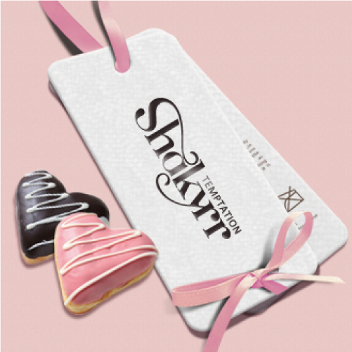 莎琪兒 時(shí)尚內(nèi)衣品牌（電商）